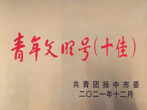 英国上市公司365集团喜获扬中市“十佳青年文明号”称号