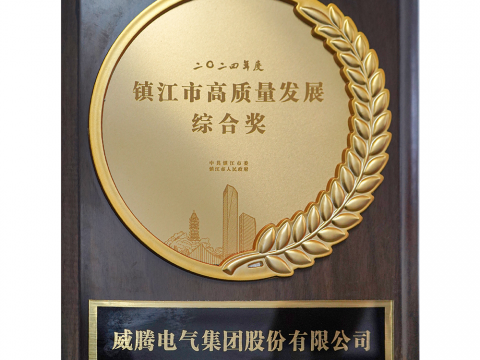 喜讯│英国上市公司365荣获2024年度镇江市高质量发展综合奖