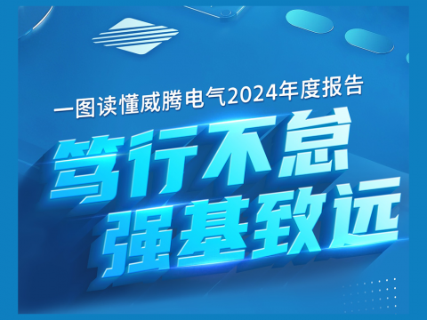 一图读懂英国上市公司3652024年度报告