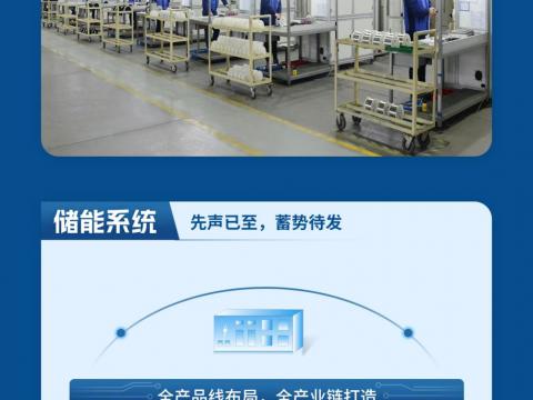 一图读懂英国上市公司3652023年半年度报告