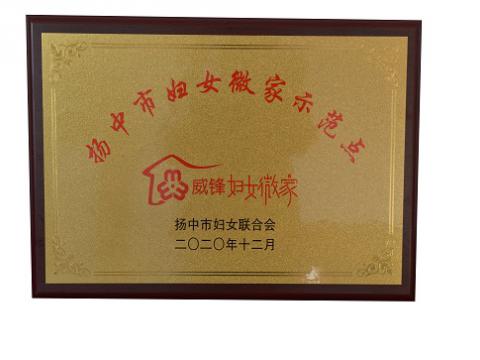 英国上市公司365集团喜获扬中市级妇女微家示范点