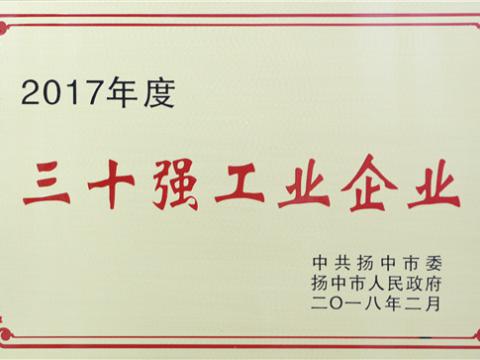 英国上市公司365集团晋升2017年度扬中市“三十强”前五位
